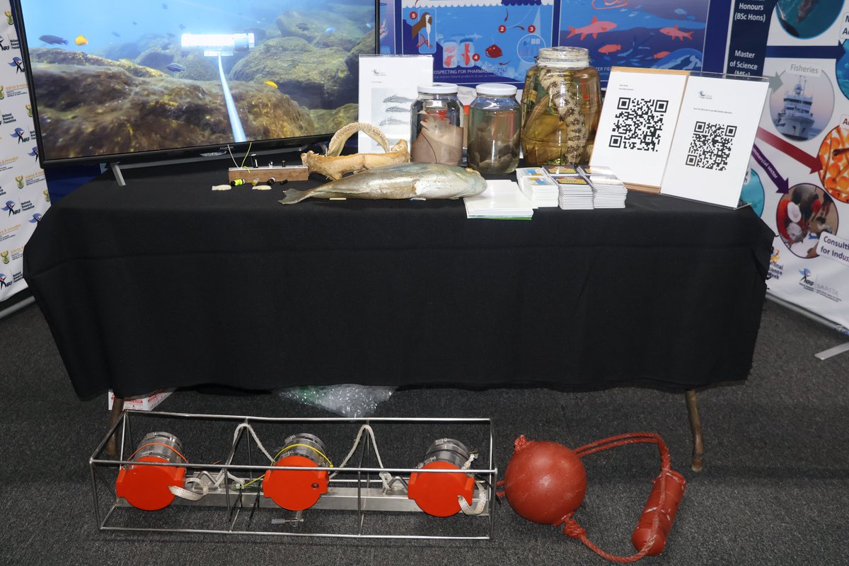 🌍✨ National Science Week 2024 is officially here! ✨🌍
NRF-SAIAB is excited to be part of the launch, happening today at the Central University of Technology in Bloemfontein, Free State! 
#NationalScienceWeek2024 #HighTechWorld #NRFSAIAB #Innovation #ScienceForTheFuture