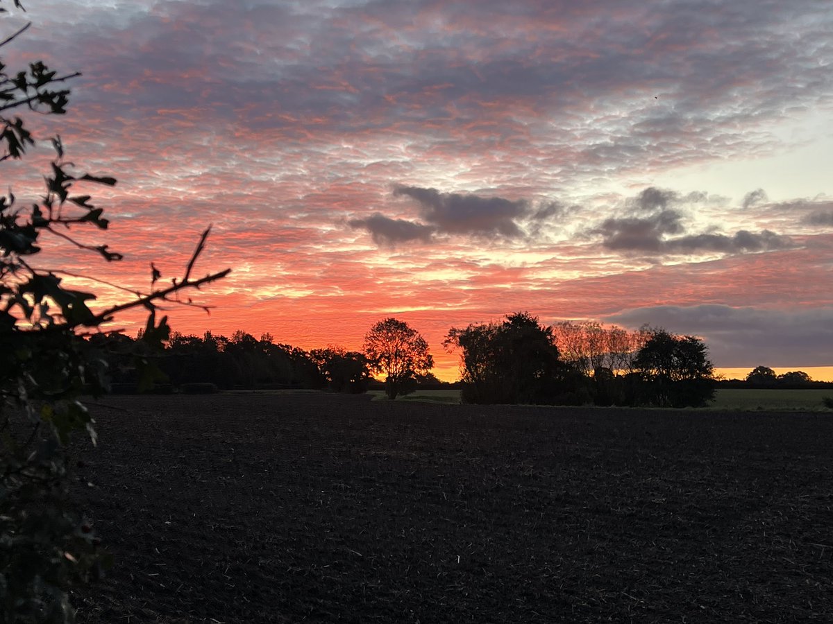 Is_Right's tweet image. 7.5k run and views 🏃🏻