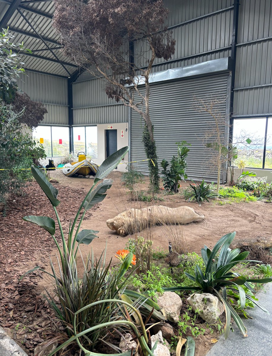 FabLabBU's tweet image. Had a fantastic time visiting the Wildlife Forensic Academy where they provide training in documenting, investigating, and testifying in poaching crime scenes--really important and one-of-a-kind work wildlifeforensicacademy.com