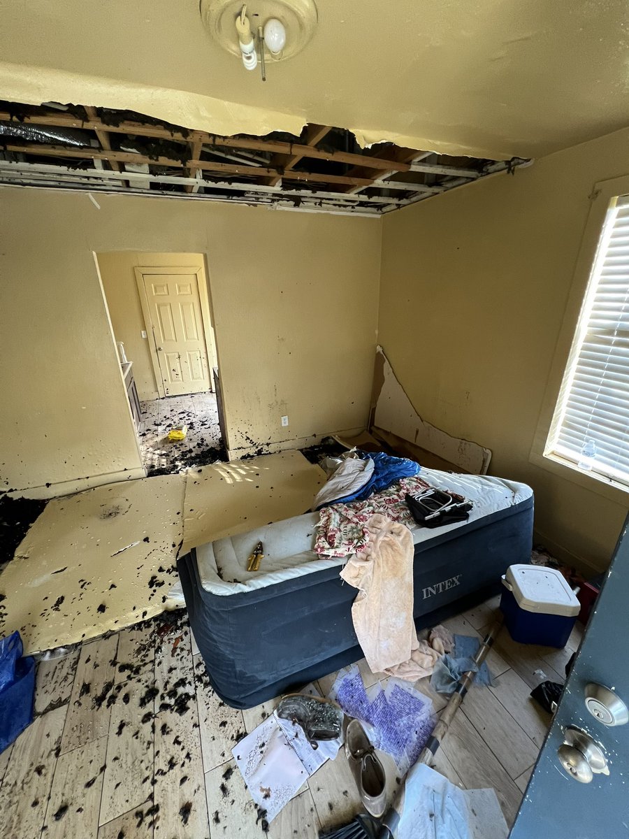 Dan James tweet media