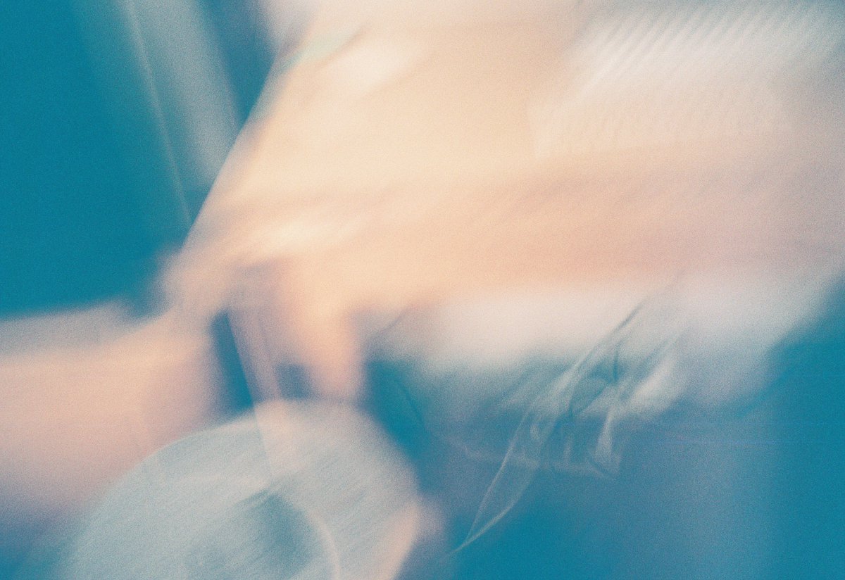 ヌイグモ tweet media