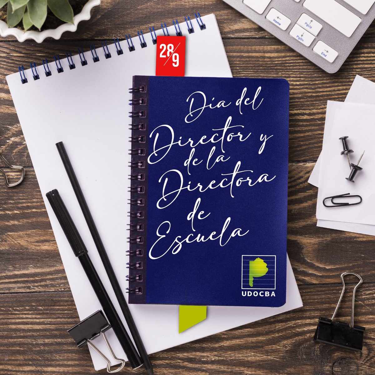 En el Día de la Directora y el Director de Escuela queremos resaltar el papel fundamental que desempeñan en la educación pública. Su liderazgo y compromiso son esenciales para crear un ambiente de aprendizaje inclusivo y de calidad.