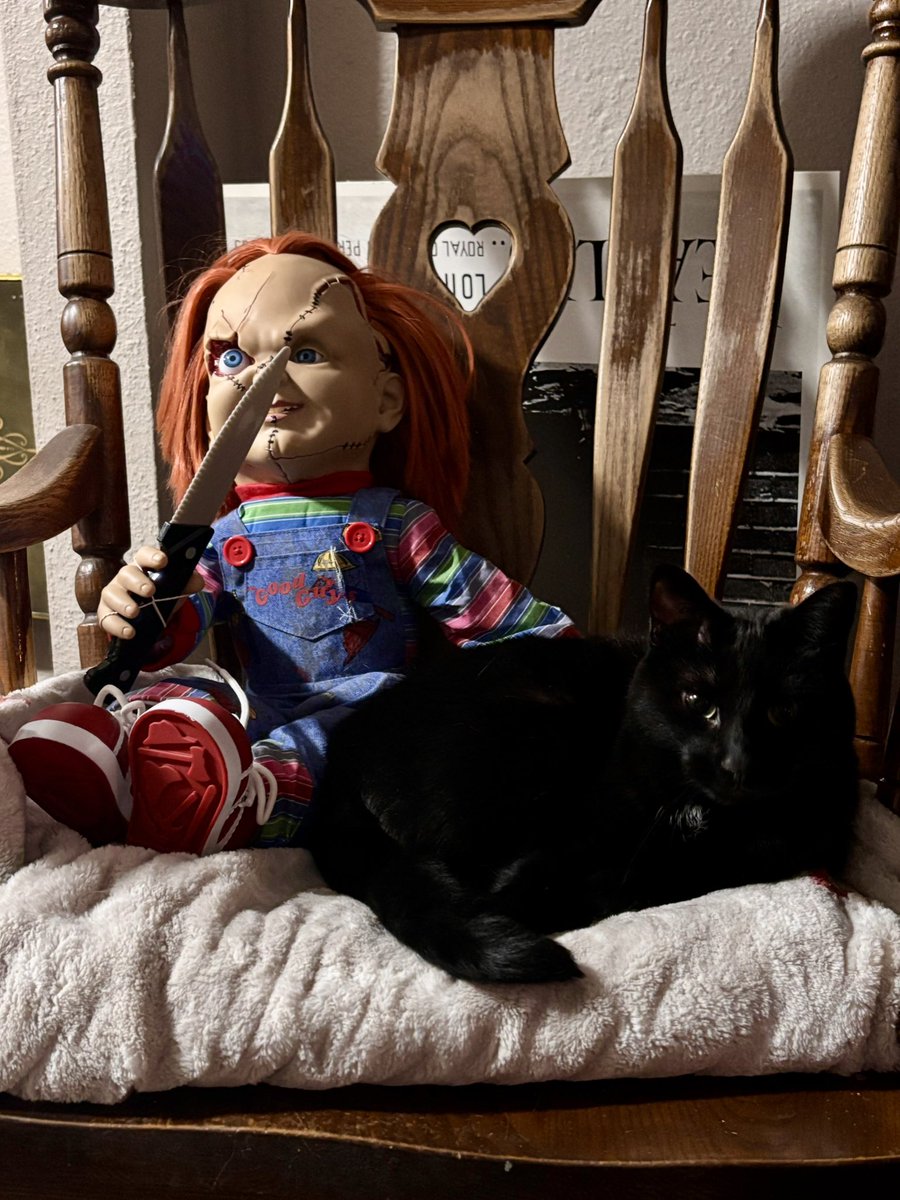 _shauna_mae's tweet photo. Dahlia says we need to #RenewChucky 💔 we are so sad to hear that Chucky was not renewed for a 4th season! @RealDonMancini https://t.co/o704HY4O7l