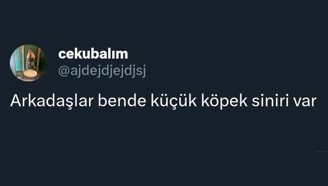 ANLIK (@anlikmod) on Twitter photo 