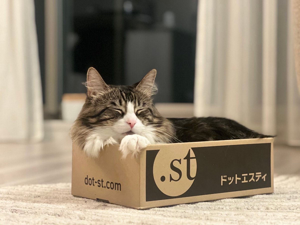 keisuke30419's tweet photo. うちの猫は、なぜかこの箱にしか入らない。#ドットエスティ https://t.co/ppdVzpGtzE