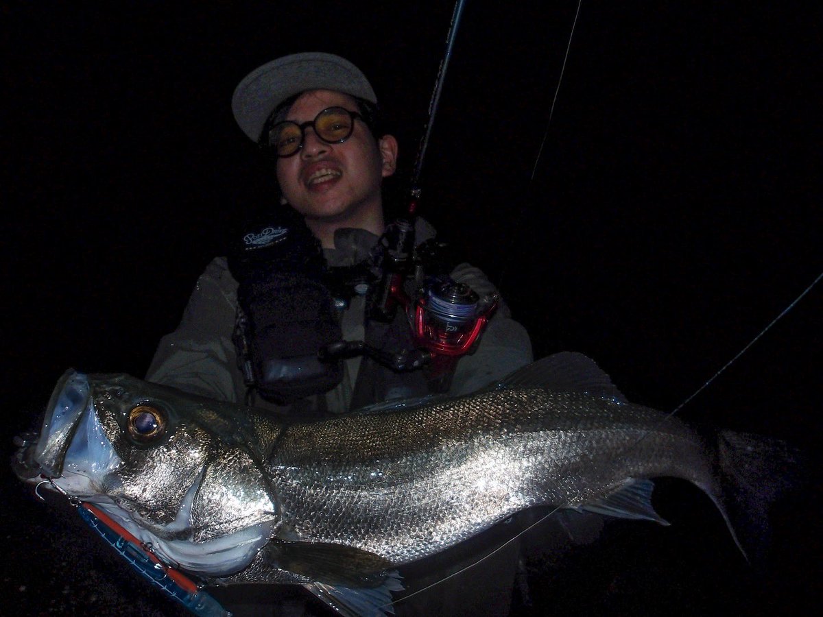 seabassLBD's tweet image. Xになってからひらく頻度が低すぎて上げ忘れが多い....

とりあえず、サヨリにはレクター111Fとフリルドスイマー115Fも反応してくれる

フリルは売ってないんだよなぁ

レクターはfimoショップでも買えるから補充するのには困らない😋

#fimoショップ #PR