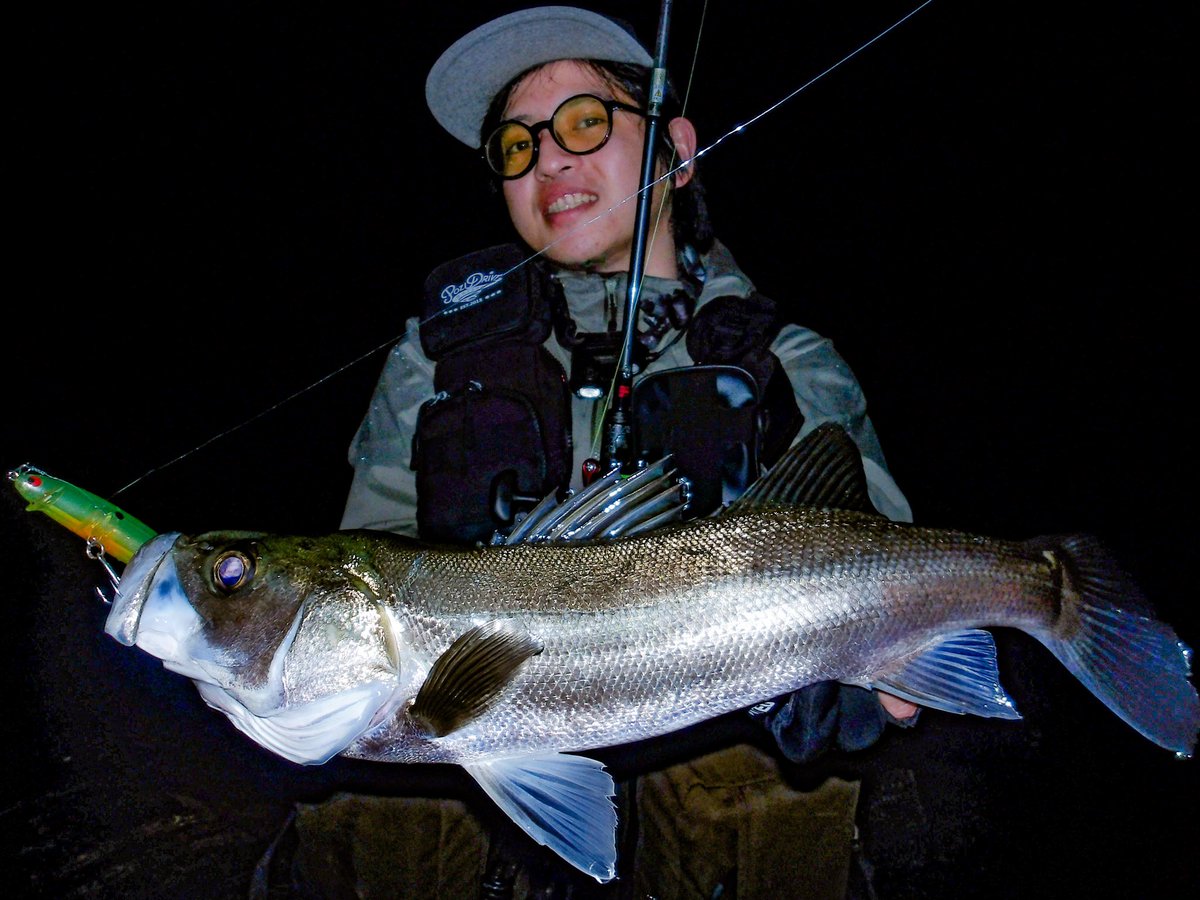 seabassLBD's tweet image. Xになってからひらく頻度が低すぎて上げ忘れが多い....

とりあえず、サヨリにはレクター111Fとフリルドスイマー115Fも反応してくれる

フリルは売ってないんだよなぁ

レクターはfimoショップでも買えるから補充するのには困らない😋

#fimoショップ #PR