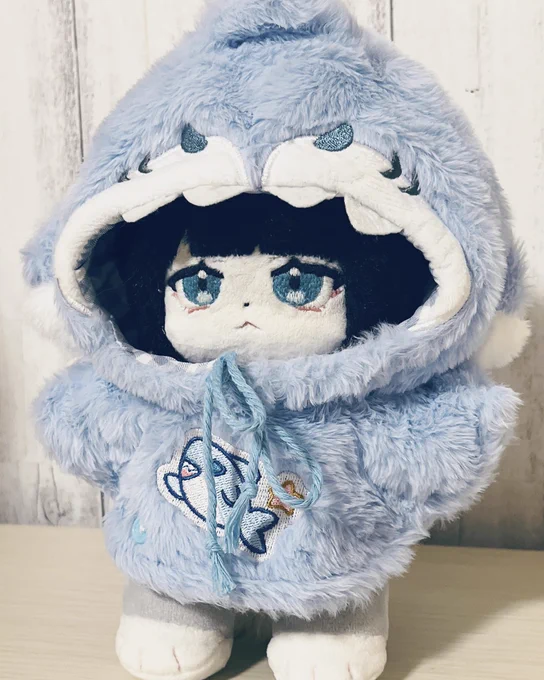 着やすそうなかわいいポンチョ買ったもういぬなのかすら分からない 