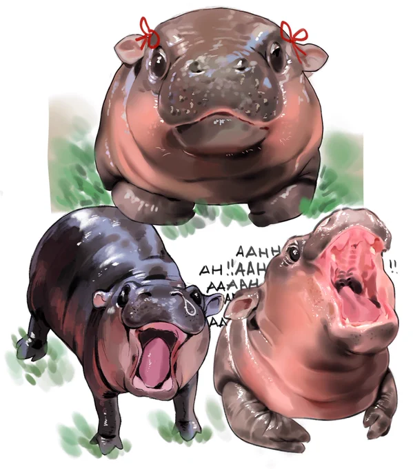 moo deng!! 