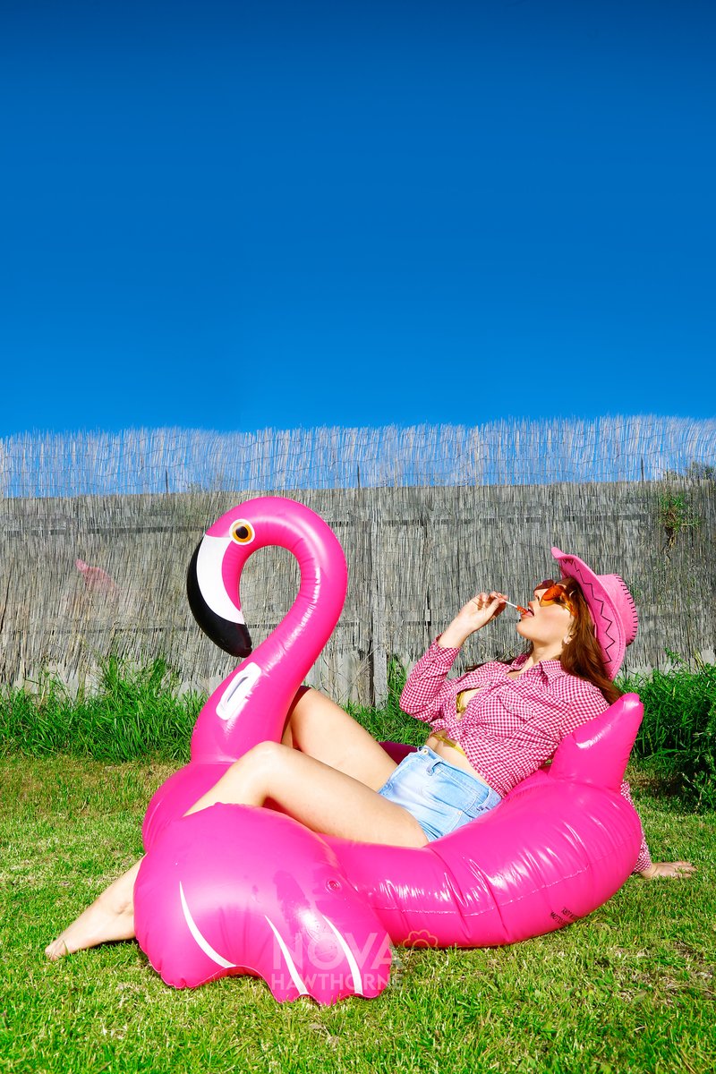 novalooning tweet media