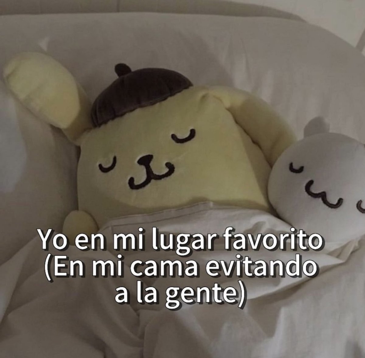El mejor lugar.