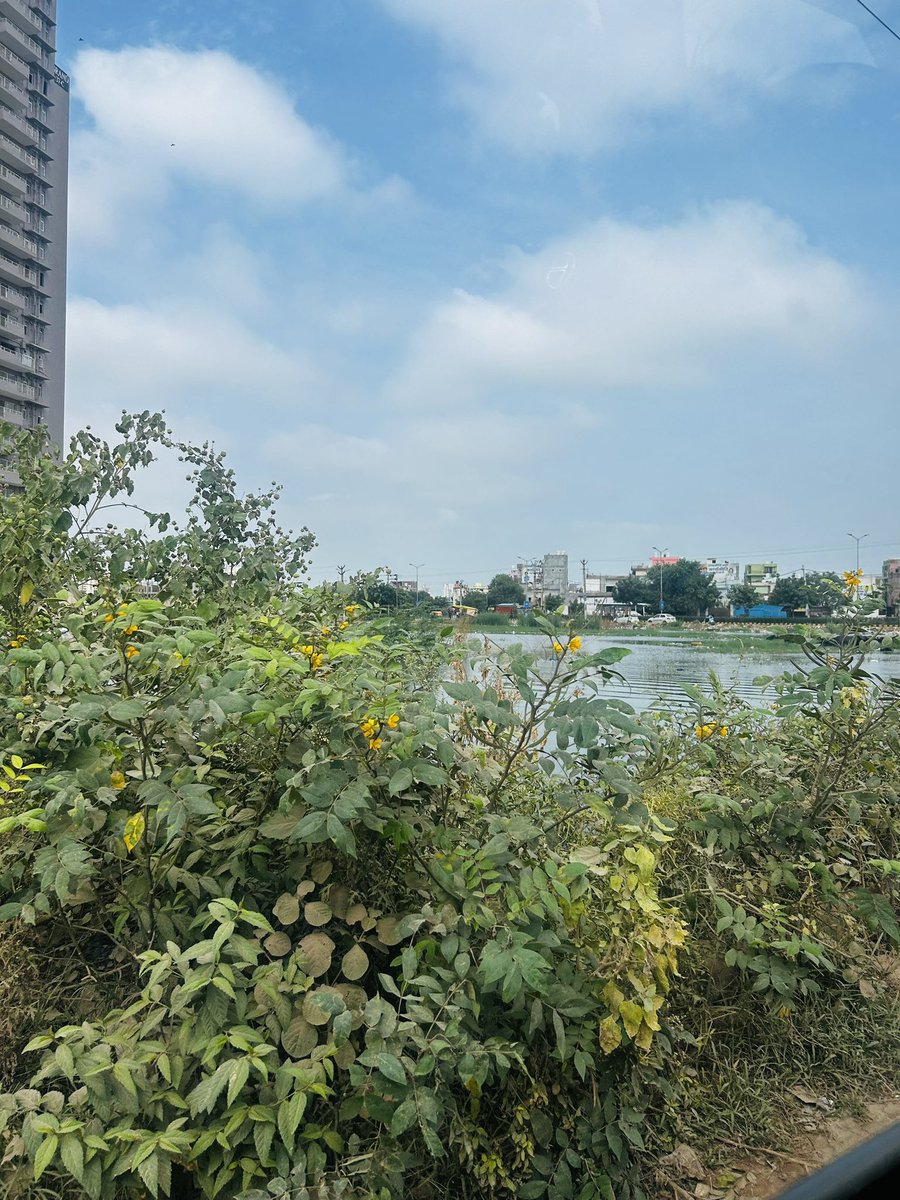lightworker (@lightworkerrrr) on Twitter photo Outside society taksila heights sec 37c Gurgaon- collected water garbage dump wild grass
No measure taken to correct it
It breeding spot for mosquito and the whole view is compromised
<a href="/cmohry/">CMO Haryana</a> <a href="/TOIGurgaon/">TOI Gurgaon</a> <a href="/DC_Gurugram/">DC Gurugram</a> <a href="/MunCorpGurugram/">MCG</a> Outside society taksila heights sec 37c Gurgaon- collected water garbage dump wild grass
No measure taken to correct it
It breeding spot for mosquito and the whole view is compromised
<a href="/cmohry/">CMO Haryana</a> <a href="/TOIGurgaon/">TOI Gurgaon</a> <a href="/DC_Gurugram/">DC Gurugram</a> <a href="/MunCorpGurugram/">MCG</a>