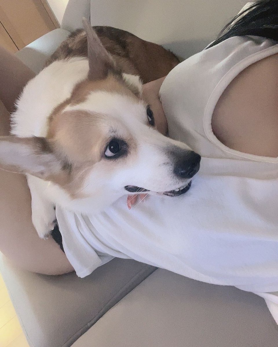 binxnnnx's tweet photo. 뒹글뒹글 내가 그렇게 좋아?
#섹트 #맘눌 https://t.co/A4hnMKhJop