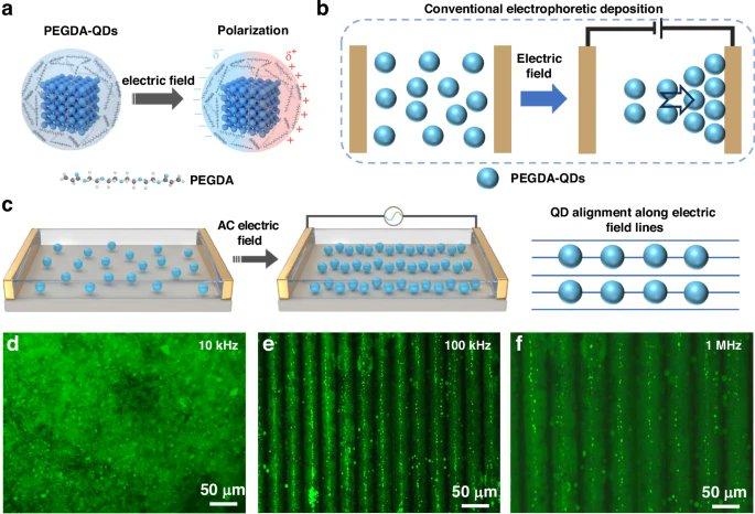 LightSciAppl's tweet image. #LSA_Highlight: [Research Article] Ultrahigh-resolution, high-fidelity quantum dot pixels patterned by dielectric electrophoretic deposition. @SIPnewscenter #SU #Lasers_LEDs_and_light_sources #Optical_materials_and_structures
nature.com/articles/s4137…