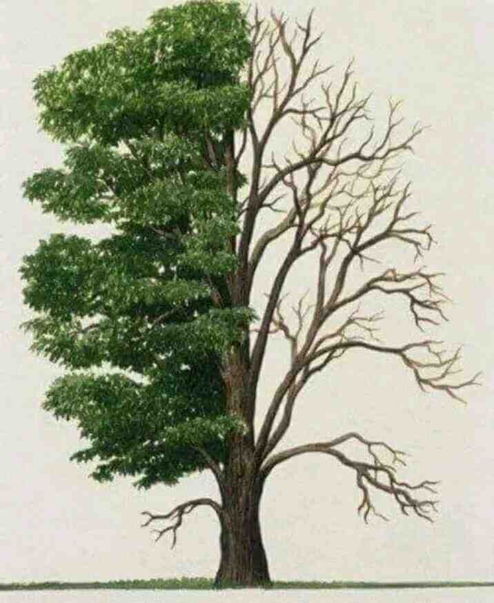 مواعظ وعبر (@ax1ax71) on Twitter photo لم يكن التَّعري يوماً من الأيام مقياس للجمال والروعة... لم يكن التَّعري يوماً من الأيام مقياس للجمال والروعة...