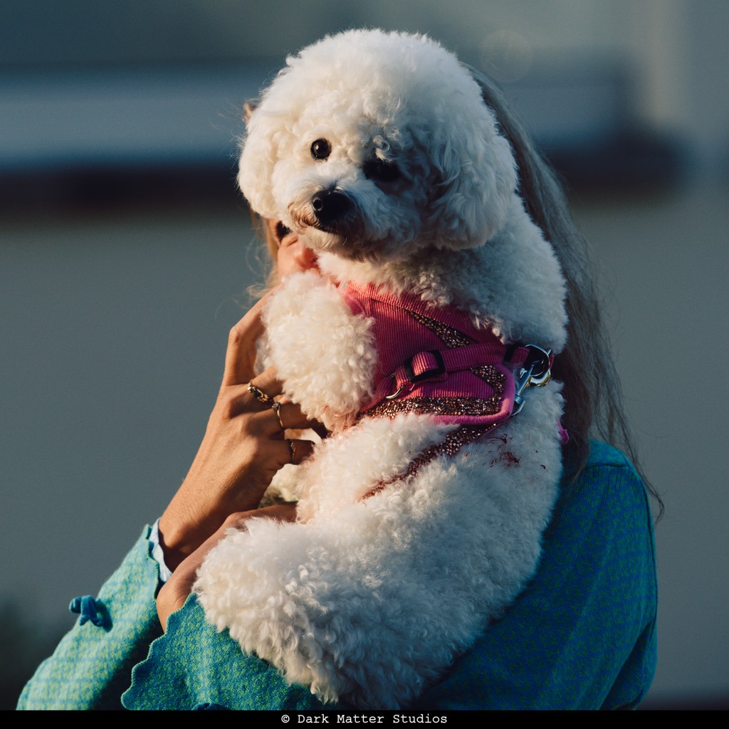 Dark Matter Studios tweet media