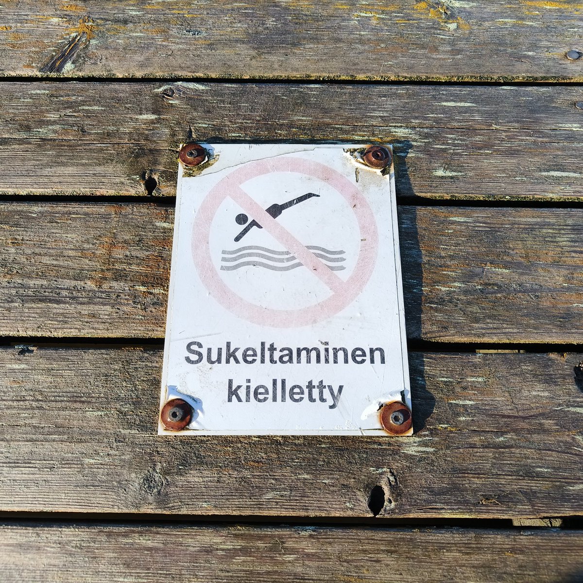TeuvoVRiikonen's tweet photo. Aamun #maisema #työmatkalla #syyskuu #kyllätästäselvitään #silmiähivelee #elämä #syksynvärit #Eipaha "Syyskuu, syyskuu minne hänet vei?
Syyskuu, syyskuu tuuli vastaa ei" (Hector) https://t.co/cu8dcqsMik
