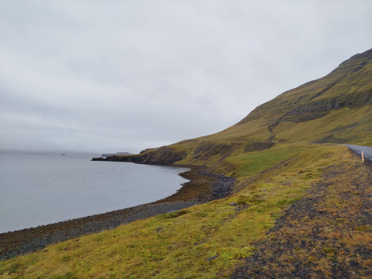 Exciting times for our <a href="/LoreCozzolino/">Lorenzo Cozzolino</a> in #Iceland! Exploring the #intertidal during the day and witnessing the stunning aurora borealis by night🌊🌌 

#Fieldwork  #AuroraBorealis <a href="/CienciasDoMar/">CCMAR - Centro de Ciências do Mar</a> <a href="/Haskoli_Islands/">Háskóli Íslands</a>
 <a href="/univ_lille/">Université de Lille</a> <a href="/LOG_labo/">Laboratoire d’Océanologie et de Géosciences</a> <a href="/RechercheUlille/">Recherche - Université de Lille</a> <a href="/ED_SMRE/">Ecole Graduée SMRE</a> <a href="/UMR_BOREA/">Laboratoire BOREA</a>