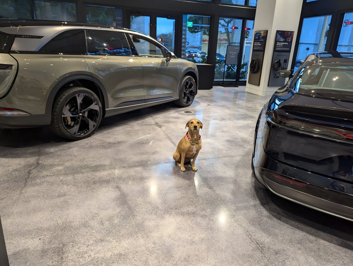 LucidlifeSH's tweet photo. Miami is looking good tonight.  Frunking with my best girl.   #LucidGravity #Sapphire #FrunkFriday #Frunkpuppyfriday https://t.co/5sYG8CDK0K