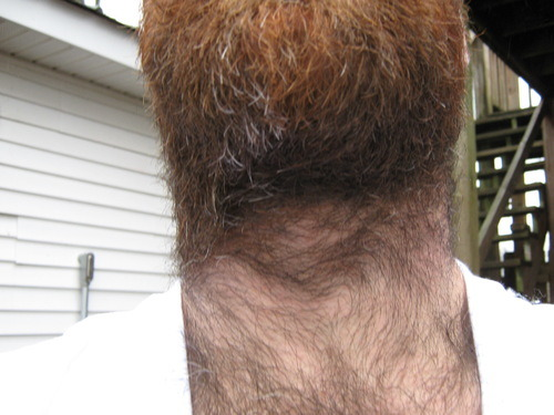 goonsmokers's tweet photo. Extreme neck fur https://t.co/5b1qTeAXYA