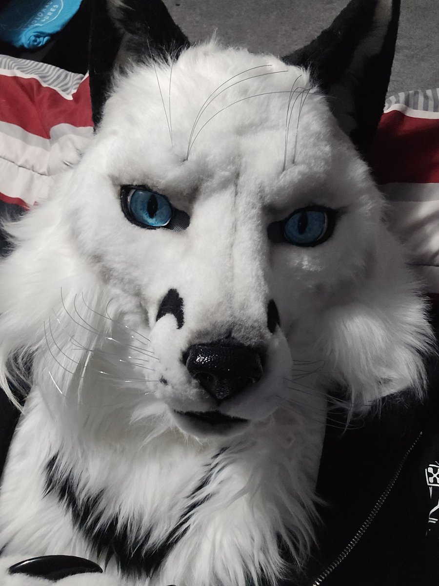 Rawrs at Doors tweet media