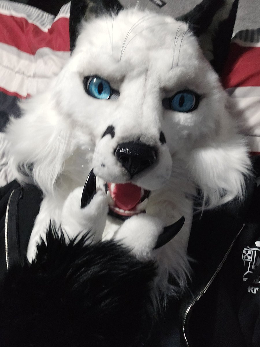 Rawrs at Doors tweet media