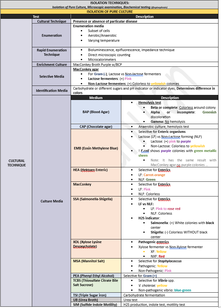 epinephrain's tweet photo. Adding micro on this thread: 

Some good to know tests: 
✏️ CA notes https://t.co/Ft9Q3DYcRb