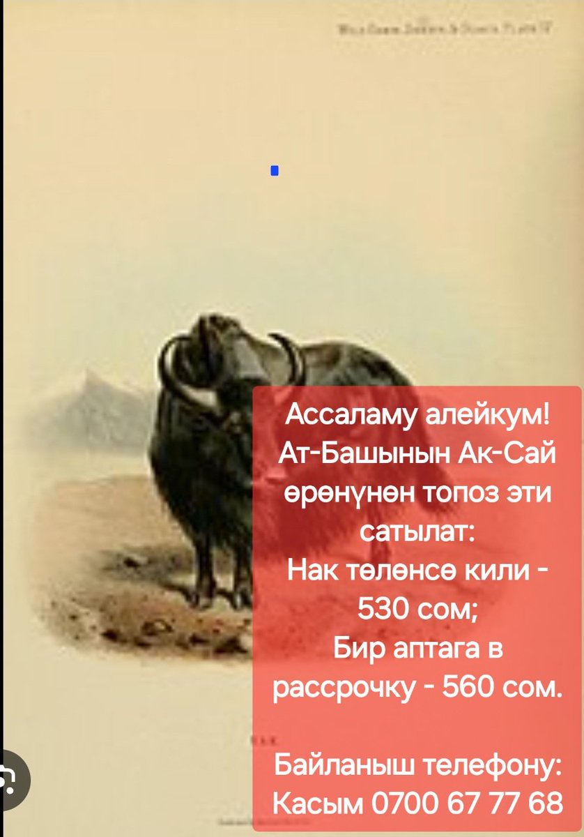 Эсен ОМУРАКУНОВ (@esenyryskeldi) on Twitter photo 