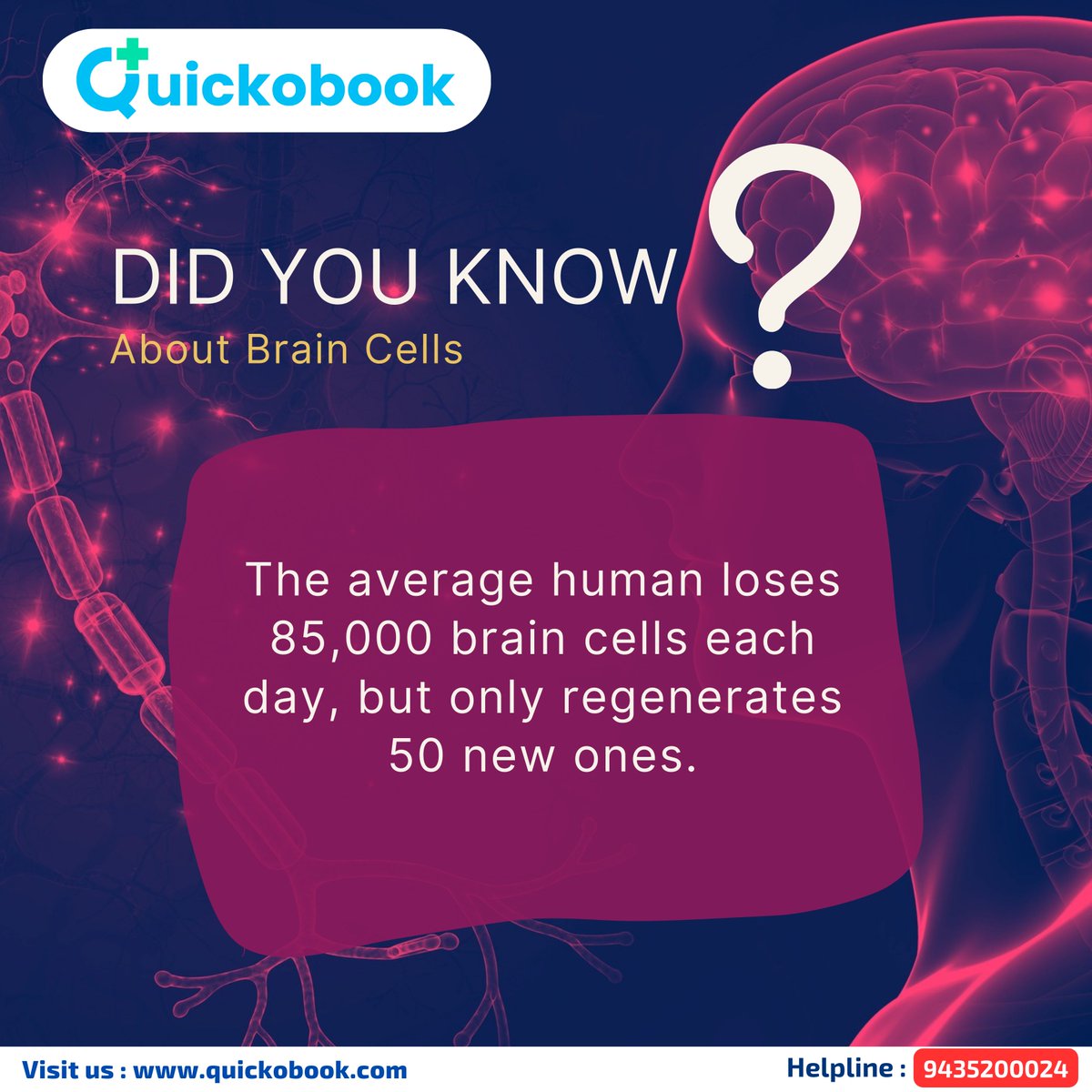 Quickobook tweet media