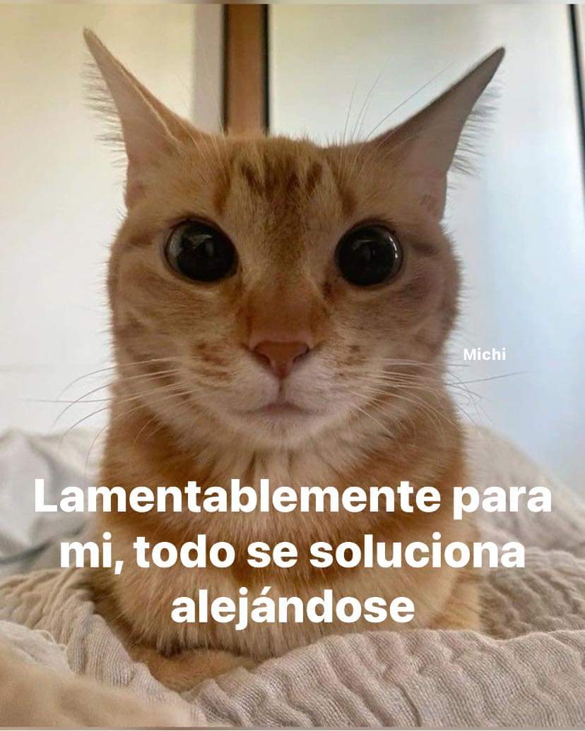 En Júpiter (@en_jupiter_) on Twitter photo 