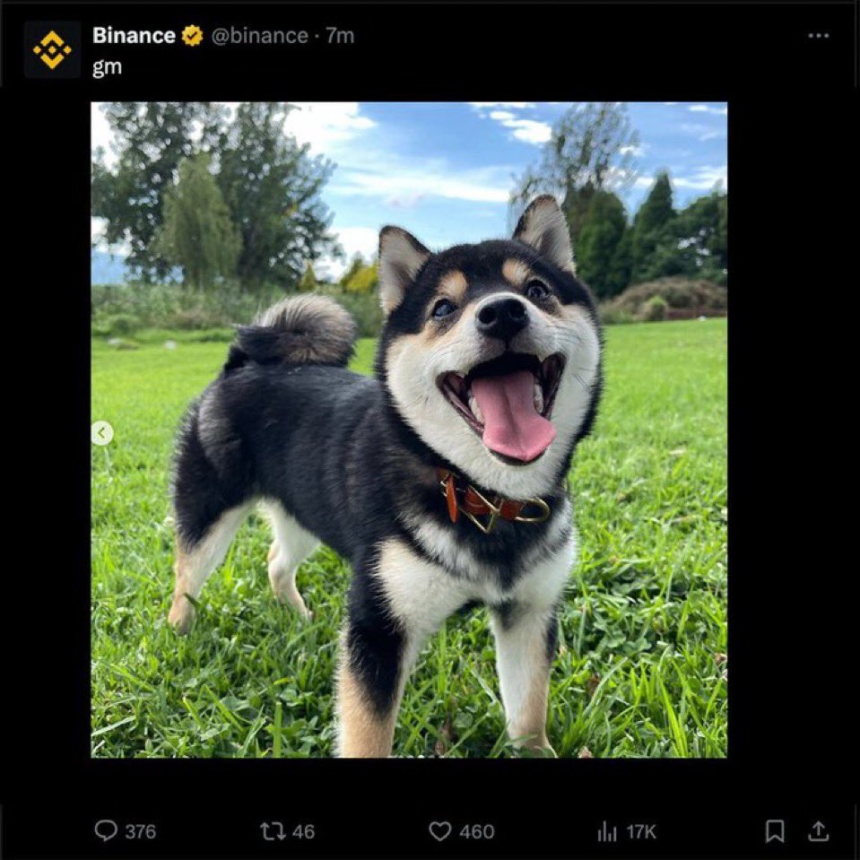 ManyuCommunity's tweet photo. @alizbet84312494 @cryptojourneyrs @pepecoineth LFGO https://t.co/EODuwjvtDJ