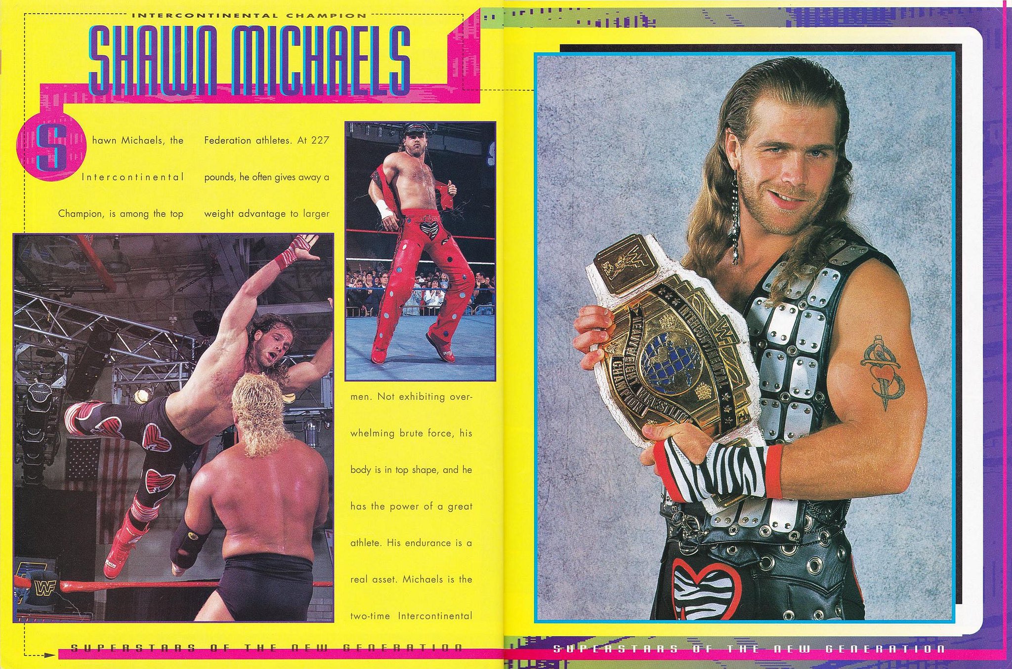 洋書・プロレス　W.W.F. Superstars of Wrestling W.W.F. Superstars of Wrestling: Rh Value Publishing