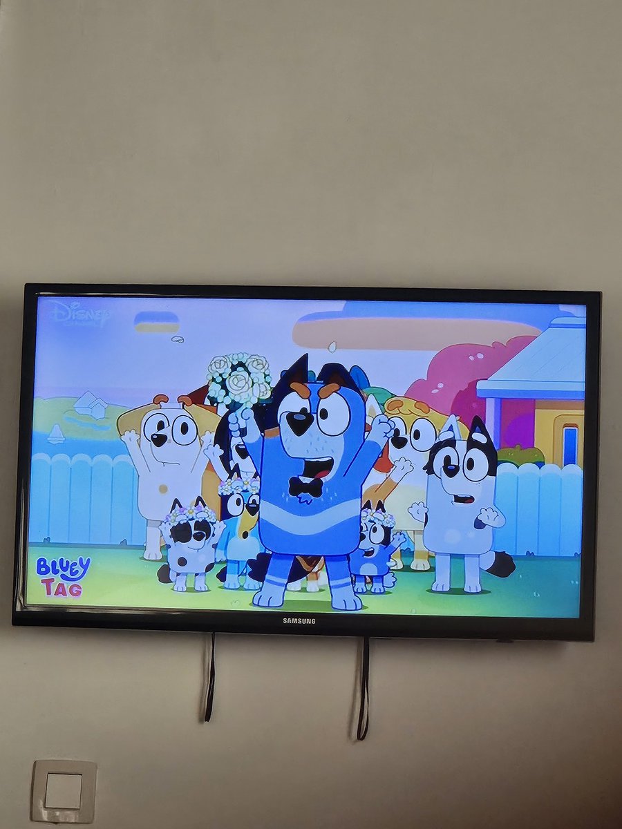 Kā pārtulkot Bluey latviski, atkal neaizskarot kādu? Sunītis Zilītis skan tik mīlīgi🤗