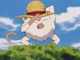 antivela's tweet image. Mankey D. Luffy JAJAJA
Ba Dum TSS!

#pokemon #mankey #monkeyDluffy #luffy #strawhat #mugiwara #onepiece #crossover