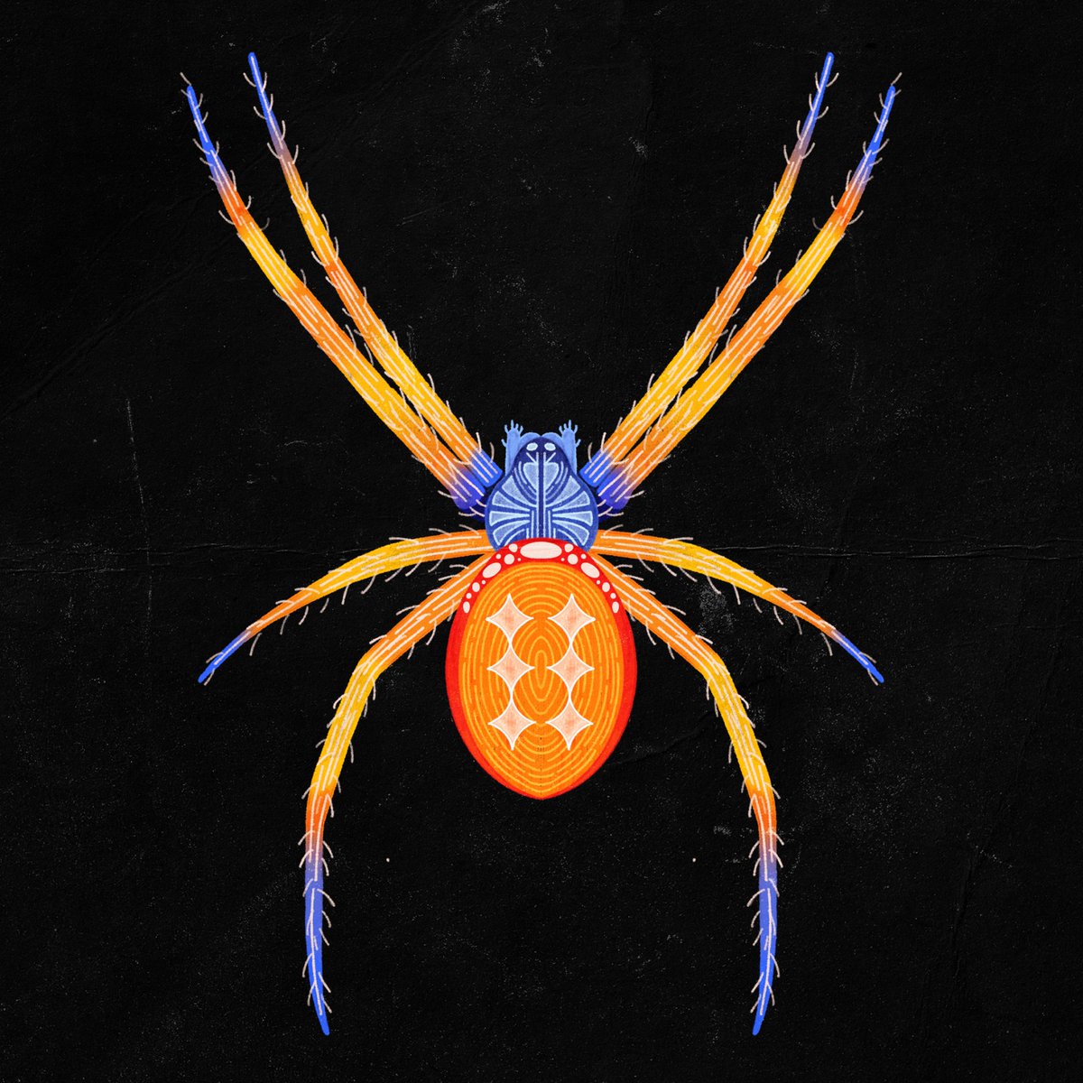 Flipped and mirrored 'SPIDERS'