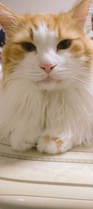 ポッチャン…おひる食べたばかりだろ? 