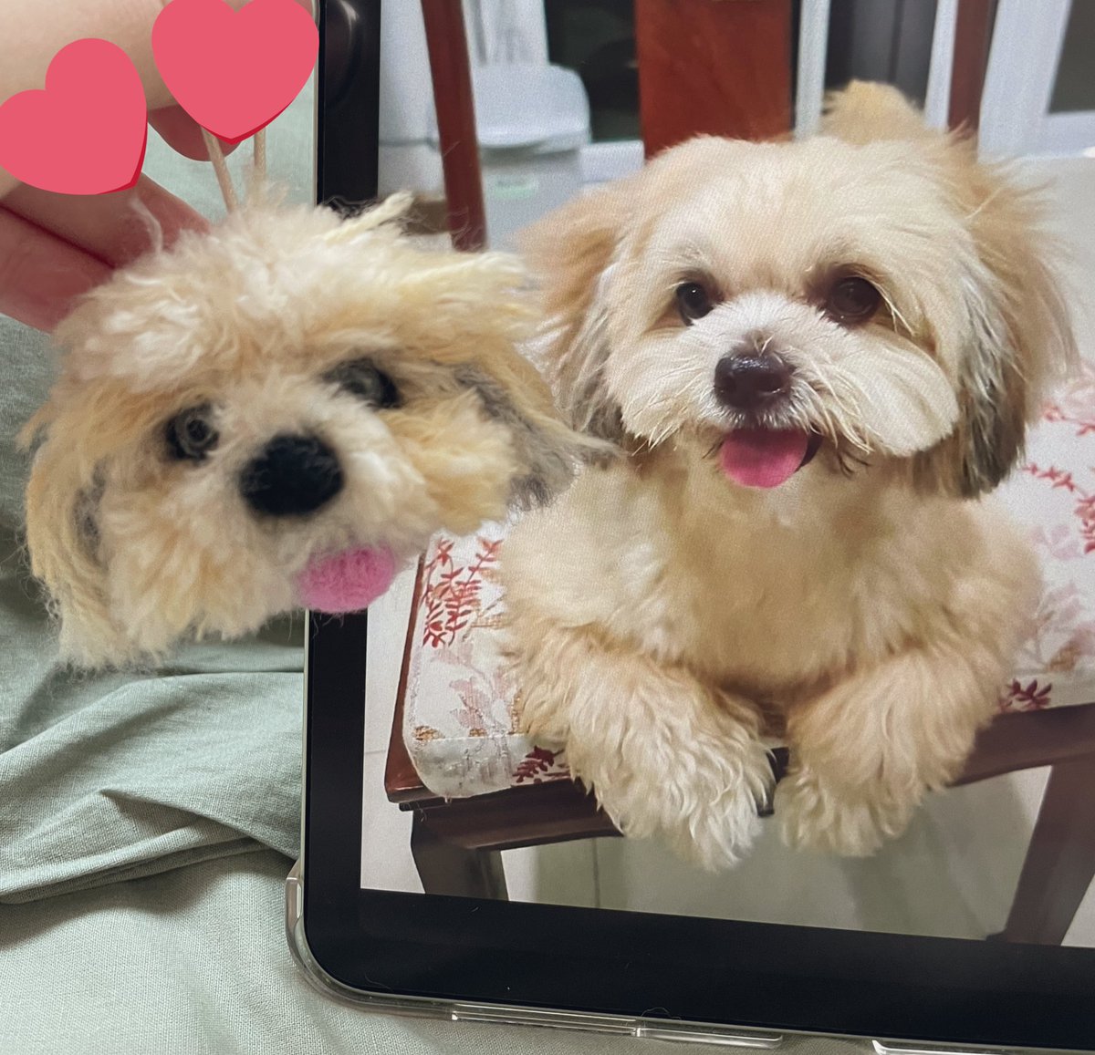 เหมือนจนอึ้ง 😭💖

งานฝีมือคุณ <a href="/pinponcrafts/">pinpon</a>