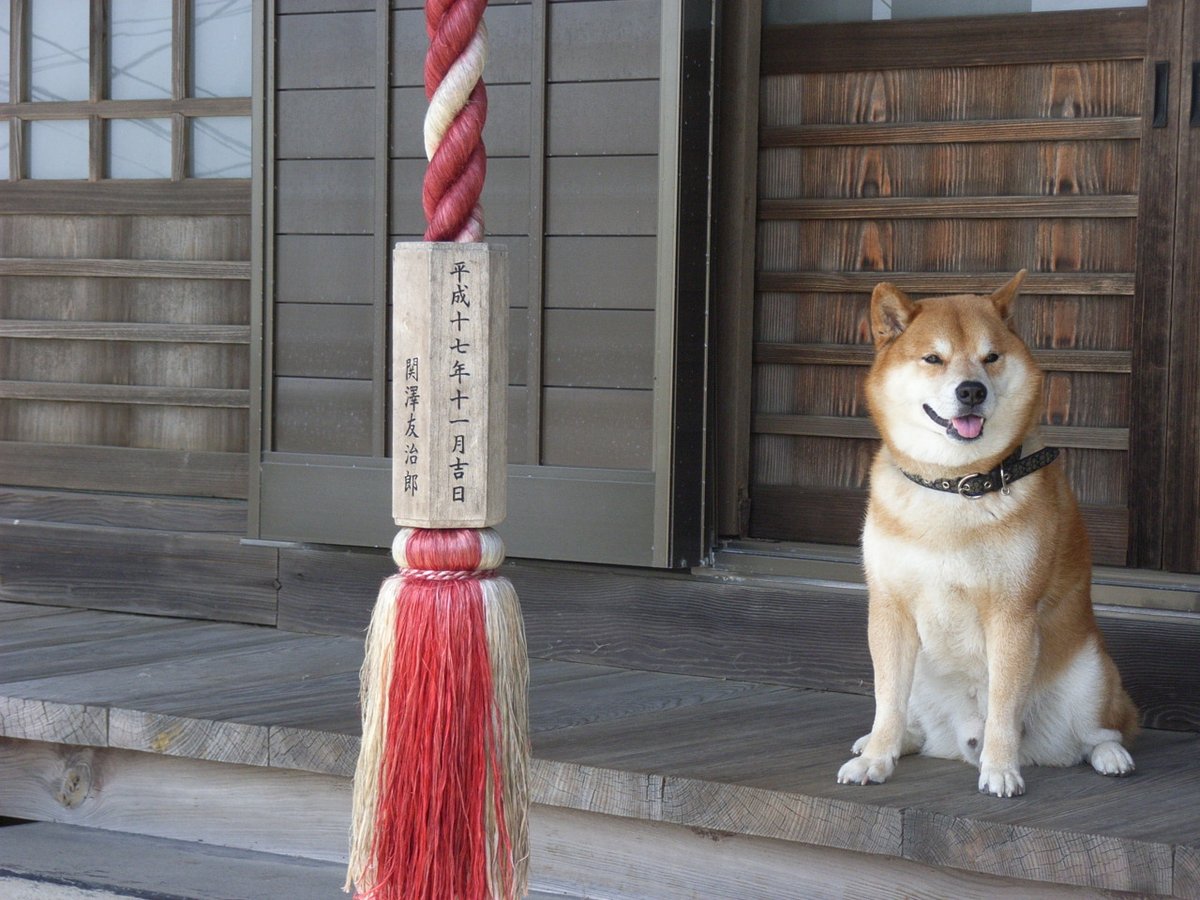 どん→武+伊(Ryu) tweet media