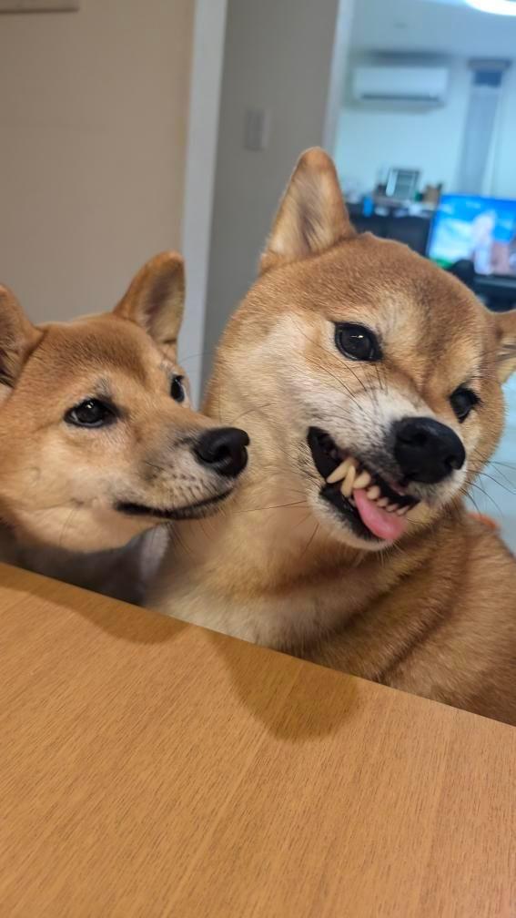 どん→武+伊(Ryu) tweet media