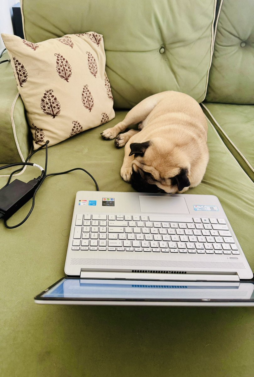 J__Rawal's tweet photo. Preparations are in full swing for Jax to get #AWS certified.
Pic 1. How it started 
Pic 2. How it is going 😁
#Jax
#awscloud 
#awscertification https://t.co/wFGYWXadTl