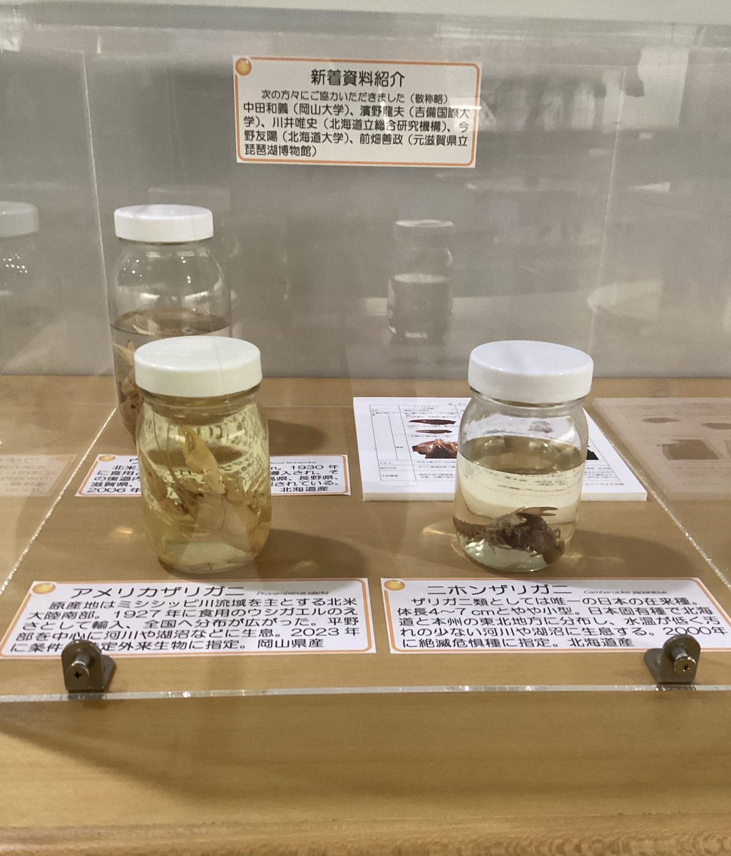 岡黒 極上 初だし品 唐物 唐銅製 細密細工 アメリカザリガニ置物 無傷