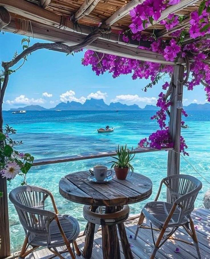 MeryemSahin's tweet image. Günaydınnn💐🍀
Keyifli mutlu sağlıklı bir haftasonu olsun 🙏 
#cumartesi
#Iamworking