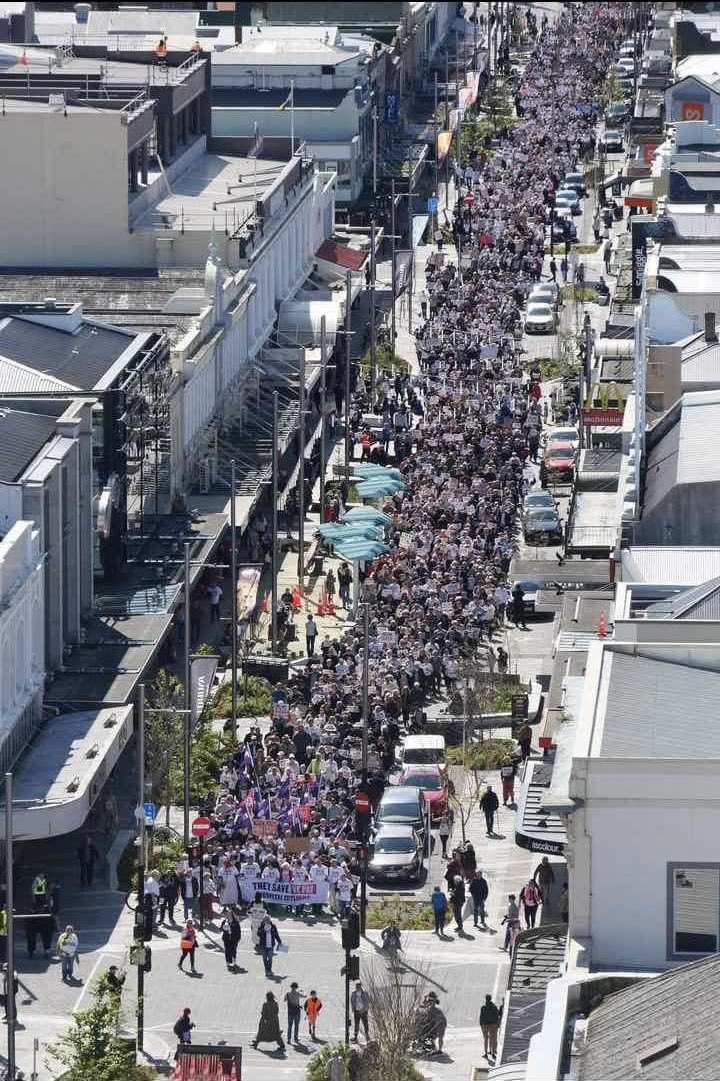 Holy shit, go Ōtepoti!