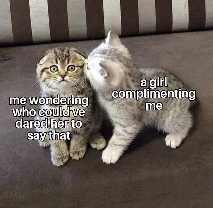 WholesomeMemes (@wholesomememe) on Twitter photo 