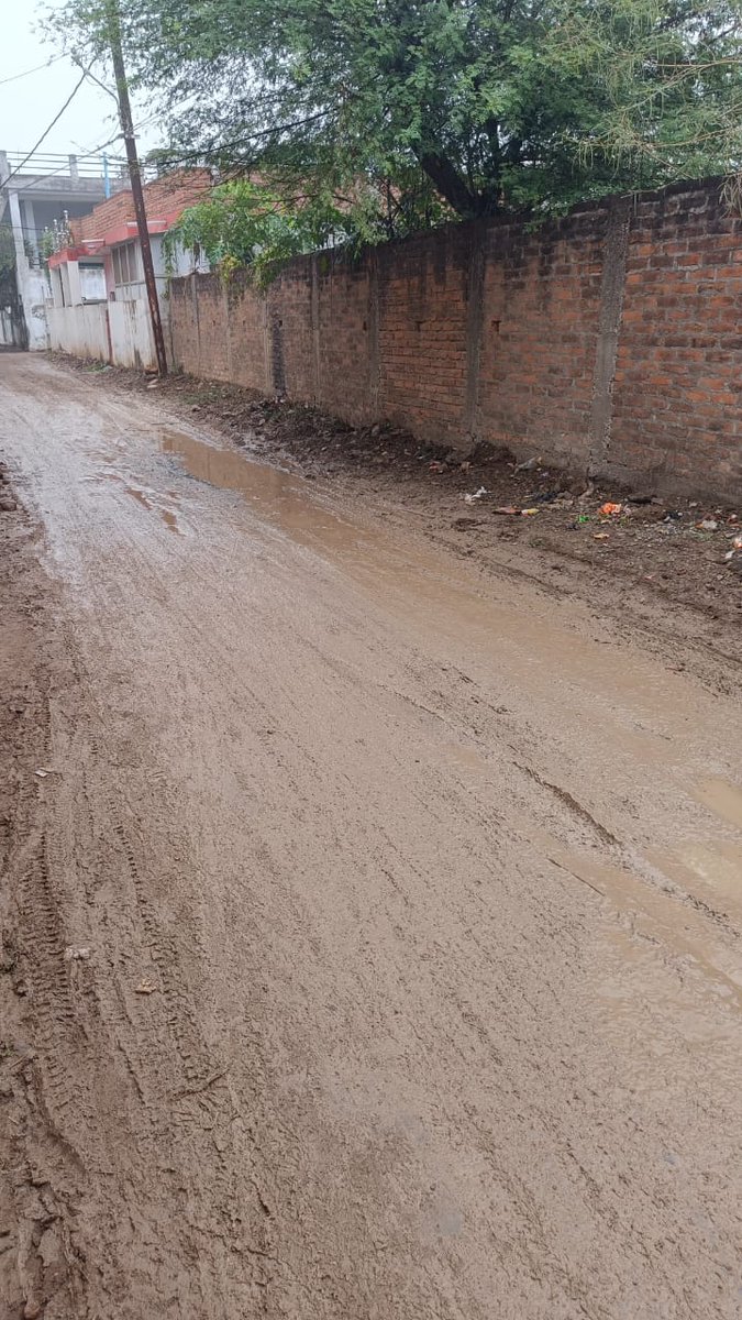 ANIL MISHRA (@anil22mishrs) on Twitter photo <a href="/RewaCollector/">Collector Rewa</a> <a href="/JansamparkMP/">Jansampark MP</a> <a href="/rmc_rewa/">Nagar Nigam Rewa</a> <a href="/rshuklabjp/">Rajendra Shukla</a> <a href="/Janardan_BJP/">Janardan Mishra (Modi Ka Pariwar)</a> <a href="/ntc_pd/">Pd.ravi Tiwari inc. REWA M.P.</a> माननीय। हमारे वार्ड 14, संजय नगर रीवा वेदान्ती निवास के सामने की सड़क कीचड़ युक्त और जल भराव के कारण आमजन के चलने लायक नहीं है। सालों से कई-कई बार ध्यानाकर्षण के बावजूद कोई ध्यान नहीं दिया जा रहा है। कृपया ध्यान दें। <a href="/RewaCollector/">Collector Rewa</a> <a href="/JansamparkMP/">Jansampark MP</a> <a href="/rmc_rewa/">Nagar Nigam Rewa</a> <a href="/rshuklabjp/">Rajendra Shukla</a> <a href="/Janardan_BJP/">Janardan Mishra (Modi Ka Pariwar)</a> <a href="/ntc_pd/">Pd.ravi Tiwari inc. REWA M.P.</a> माननीय। हमारे वार्ड 14, संजय नगर रीवा वेदान्ती निवास के सामने की सड़क कीचड़ युक्त और जल भराव के कारण आमजन के चलने लायक नहीं है। सालों से कई-कई बार ध्यानाकर्षण के बावजूद कोई ध्यान नहीं दिया जा रहा है। कृपया ध्यान दें।
