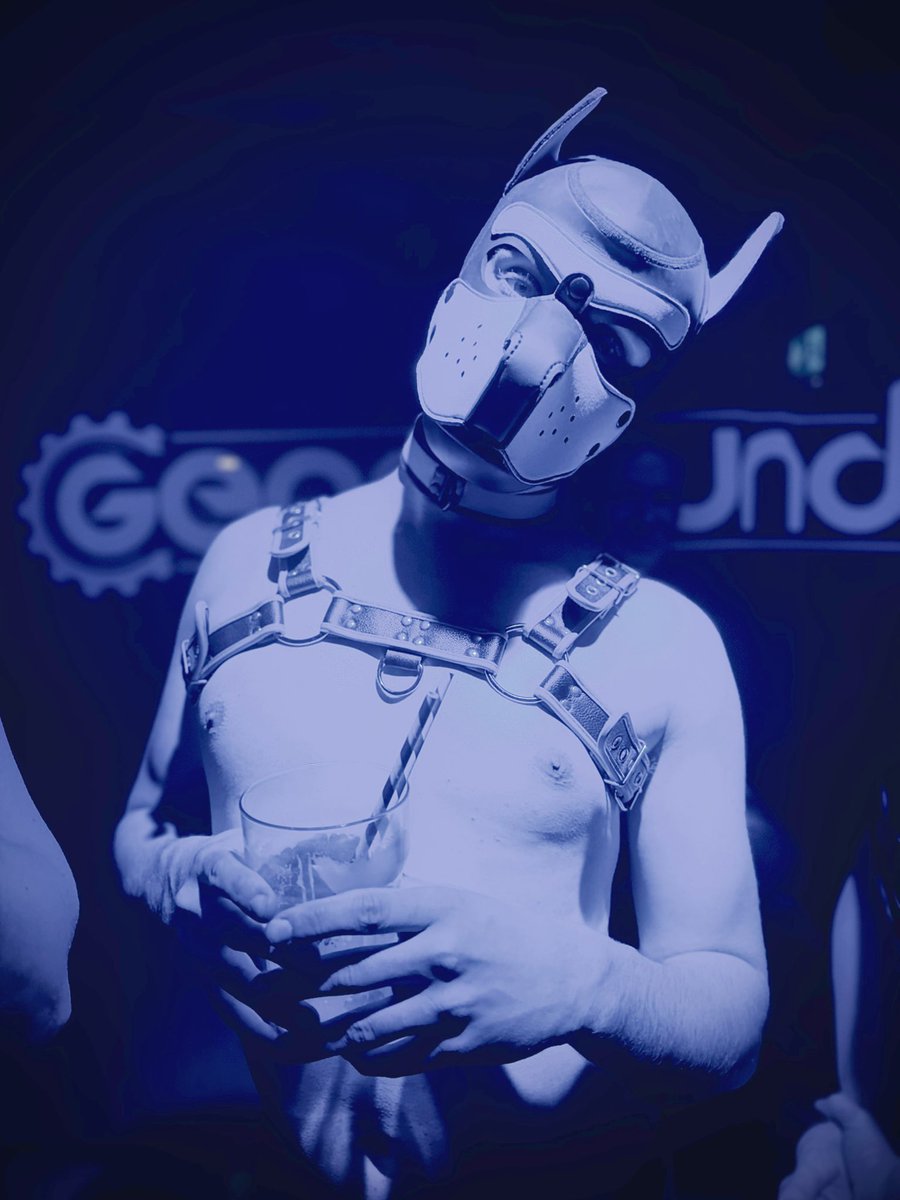 Pup Arri tweet media