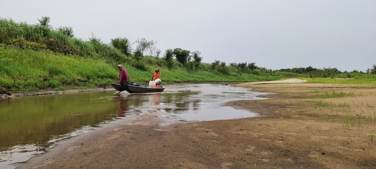 Josh Ahmed tweet media