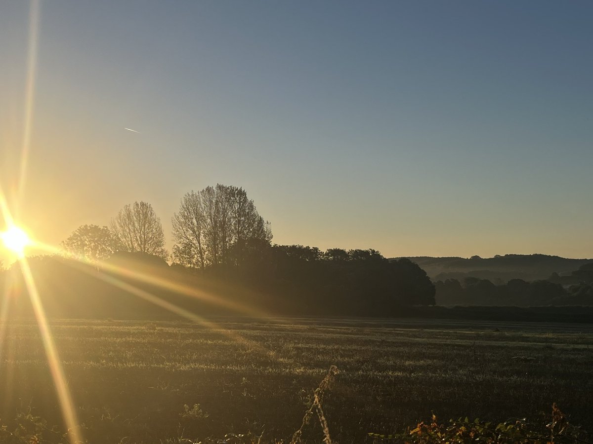 Stunning walk across the Weald at daybreak.