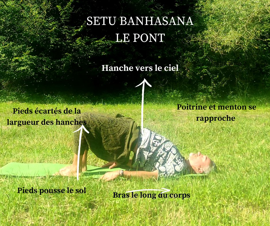 "Avez-vous des douleurs au dos ou une posture affaissée ? Essayez Setu Bandhasana ! 🙆‍♂️
#SetuBandhasana #DemiPont #YogaPosture #BackPainRelief #YogaPourLeDos #SantéParLeYoga #YogaPourTous #PostureYoga #BienEtre #SoulagementDuStress #YogaBienEtre   #YogaAsana #YogaMoselle