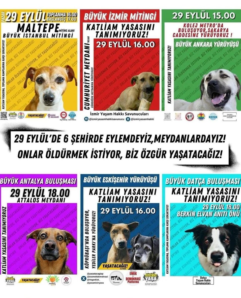 29 Eylül'de Hayvanlar İçin Eylemdeyiz!

İstanbul - Maltepe Miting Alanı - 17.00
İzmir - Cumhuriyet Meydanı - 16.00
Ankara - Kolej Meydanı - 15.00
Antalya - Attalos Meydanı - 18.00
Eskişehir - Köprübaşı - 16.00
Datça - Berkin Elvan Anıtı - 18.00

#29EylüldeHayvanlarİçinEylemdeyiz